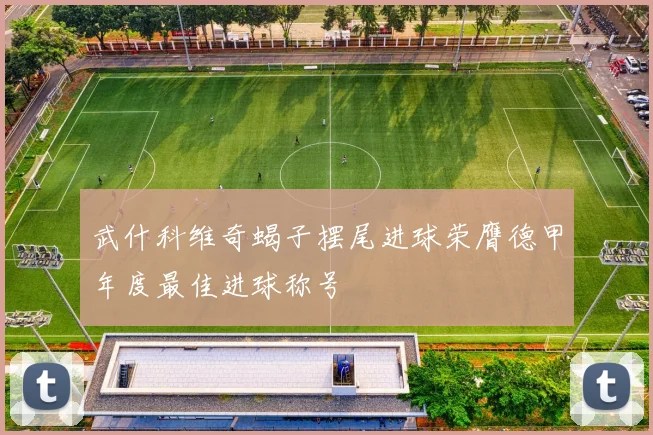 武什科维奇蝎子摆尾进球荣膺德甲年度最佳进球称号