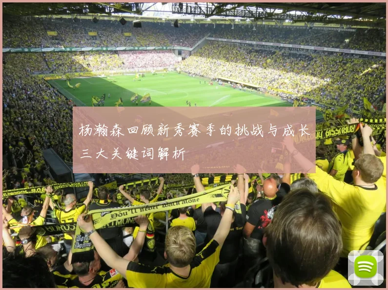 杨瀚森回顾新秀赛季的挑战与成长三大关键词解析